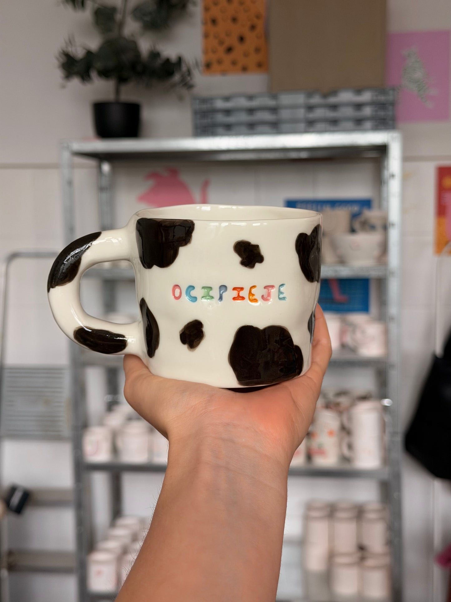 Kubek L "ocipieje"